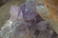 Natural Jacaranda Amethyst Cluster x 1 From Mumbwa, Zambia - TopRock