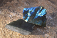 Polished One Side Polished Labradorite Slices  x 12 From Madagascar