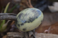 Polished Leopard Stone Eggs & Spheres  x 4 From Zimbabwe - TopRock