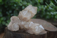 Natural Cascading White Phantom Smokey Quartz Specimens  x 3 From Luena, Congo - Toprock Gemstones and Minerals 