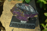 Natural Metallic Purpurite Cobbed Specimens  x 6 From Erongo, Namibia - Toprock Gemstones and Minerals 