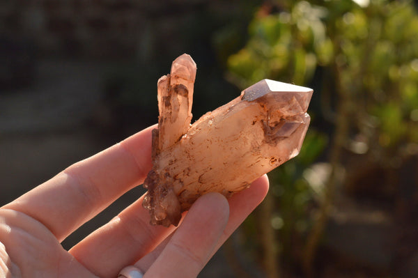 Natural Red Hematoid Phantom Quartz Crystals  x 35 From Karoi, Zimbabwe - TopRock