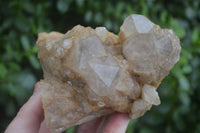 Natural Cascading White Phantom Smokey Quartz Clusters  x 3 From Luena, Congo - Toprock Gemstones and Minerals 