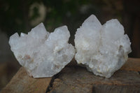 Natural White Spirit Cactus Quartz Clusters  x 6 From Boekenhouthoek, South Africa - Toprock Gemstones and Minerals 