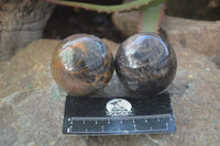 Polished  Chatoyant Black Moonstone Spheres  x 6 From Madagascar