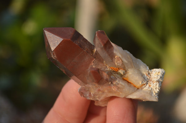 Natural Red Hematoid Quartz Specimens x 24 From Karoi, Zimbabwe