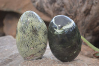 Polished Leopard Stone Free Forms  x 6 From Zimbabwe