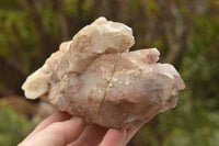 Natural Red Hematoid Phantom Quartz Crystals  x 4 From Karoi, Zimbabwe - TopRock