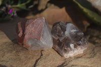 Natural Smokey Hematoid Quartz Crystals  x 12 From Madagascar