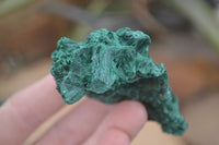 Natural Chatoyant Silky Malachite Specimens  x 12 From Kasompe, Congo - Toprock Gemstones and Minerals 