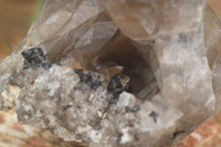 Natural Smokey Quartz Crystal Specimens  x 2 From Erongo Mountains, Namibia - TopRock