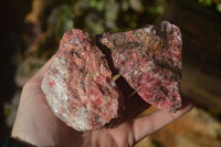 Natural Rough Red Rhodonite Specimens x 4 From Zimbabwe