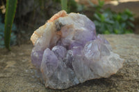 Natural Jacaranda Amethyst Cluster x 1 From Mumbwa, Zambia - TopRock