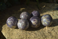 Polished Purple Lepidolite Spheres  x 6 From Zimbabwe