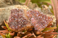 Natural Dark "Amethystos" Amethyst Clusters  x 35 From Kwaggafontein, South Africa - TopRock