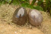 Polished Large Morion Smokey Quartz Eggs x 5 From Madagascar - TopRock