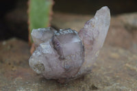 Natural Large Smokey Amethyst / Window Amethyst Crystals  x 12 From Chiredzi, Zimbabwe - Toprock Gemstones and Minerals 