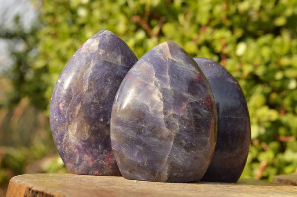 Polished Deep Purple Lepidolite Standing Free Forms With Pink Rubellite Inclusions x 3 From Ambatondrazaka, Madagascar - TopRock