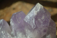 Natural Jacaranda Amethyst Clusters  x 3 From Mumbwa, Zambia - Toprock Gemstones and Minerals 