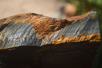 Natural Sliced Tigers Eye Specimen x 1 From Prieska, South Africa - Toprock Gemstones and Minerals 