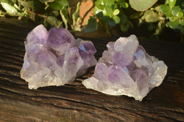 Natural Jacaranda Amethyst Clusters x 2 From Zambia