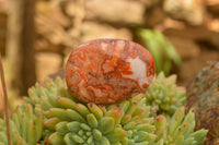 Polished Small Carnelian Palm Stones / Gallets - sold per kg - From Madagascar - TopRock