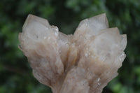 Natural Cascading White Phantom Smokey Quartz Specimens  x 3 From Luena, Congo - Toprock Gemstones and Minerals 