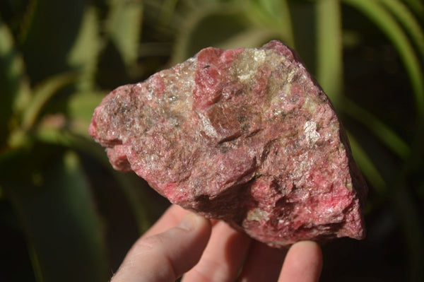 Natural Rough Red Rhodonite Specimens x 4 From Zimbabwe