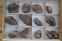 Natural Royal Zulu Window Amethyst Crystals x 14 From, Zululand