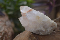 Natural White Cactus Flower Spirit Quartz Specimens x 12 From Boekenhouthoek, South Africa