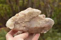 Natural Red Hematoid Phantom Quartz Crystals  x 4 From Karoi, Zimbabwe - TopRock