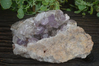 Natural Jacaranda Amethyst Cluster x 1 From Mumbwa, Zambia - TopRock