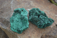 Natural Chatoyant Silky Malachite Specimens  x 12 From Kasompe, Congo - Toprock Gemstones and Minerals 