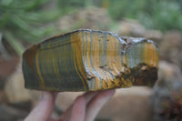 Natural Golden Blue Tigers Eye Specimens  x 2 From Prieska, South Africa - TopRock