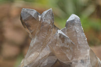 Natural Smokey Quartz Crystal Specimens  x 2 From Erongo Mountains, Namibia - TopRock