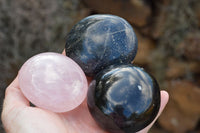 Polished Lovely Mixed Selection Of Palm Stones  x 12 From Madagascar - TopRock