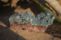 Natural Drusy Coated Ball Malachite On Dolomite Specimens  x 3 From Likasi, Congo