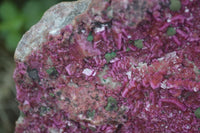 Natural XXL Pink Salrose Cobaltion Dolomite Specimen  x 1 From Kakanda, Congo - Toprock Gemstones and Minerals 