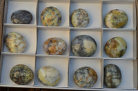 Polished Green & White Dendritic Opal Gallets x 12 From Madagascar - TopRock