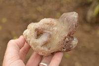 Natural Red Hematoid Quartz Clusters  x 6 From Karoi, Zimbabwe - TopRock