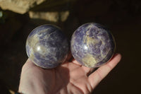 Polished Purple Lepidolite Spheres  x 6 From Zimbabwe