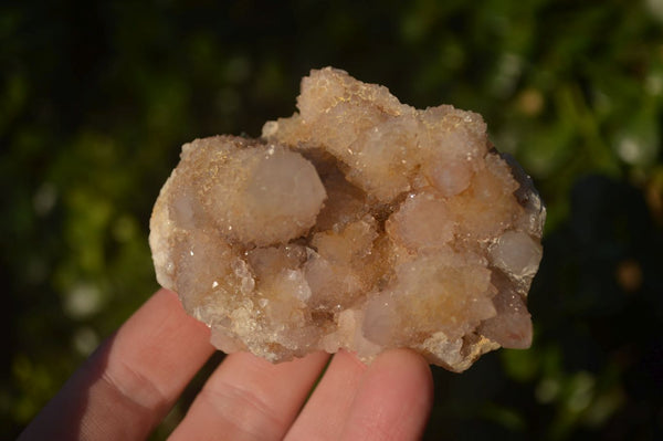 Natural Mixed Spirit Quartz Clusters x 12 From Boekenhouthoek, South Africa