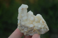 Natural Small Mixed Spirit Quartz Clusters  x 24 From Boekenhouthoek, South Africa - Toprock Gemstones and Minerals 