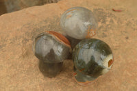 Polished Polychrome / Picasso Jasper Mushrooms  x 6 From Madagascar - TopRock