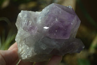 Natural Jacaranda Amethyst Clusters  x 3 From Mumbwa, Zambia - Toprock Gemstones and Minerals 