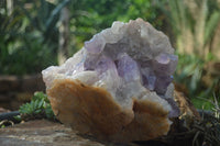 Natural Jacaranda Amethyst Cluster x 1 From Mumbwa, Zambia - TopRock