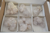 Natural White Cactus Flower Spirit Quartz Specimens x 6 From Boekenhouthoek, South Africa