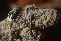 Natural Schorl Black Tourmaline Specimens x 6 From Erongo, Namibia