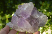 Natural Jacaranda Amethyst Clusters x 2 From Zambia