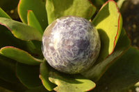 Polished Purple Lepidolite Spheres  x 5 From Madagascar - TopRock